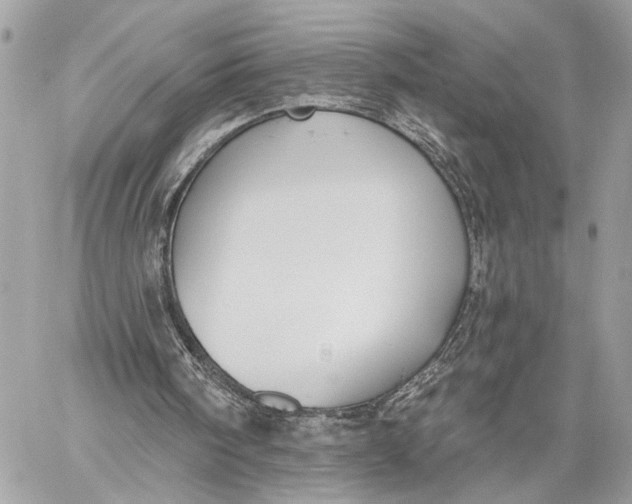 X0000059060098200510281643