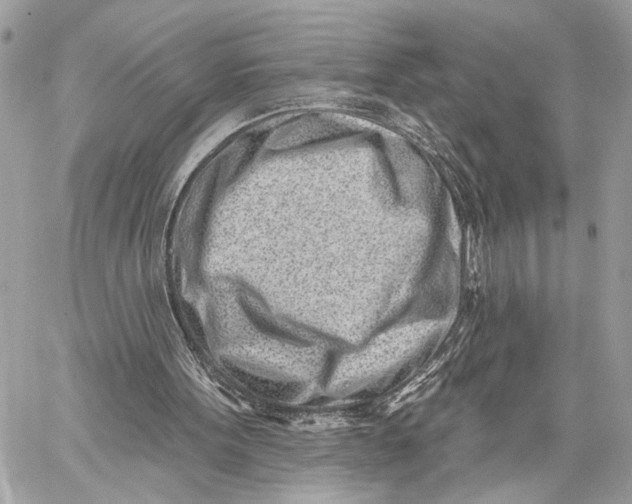 X0000059060099200510281643