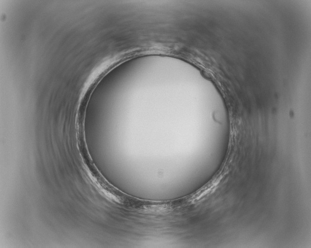 X0000059060102200510281643