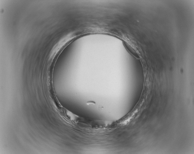 X0000059060103200510281643