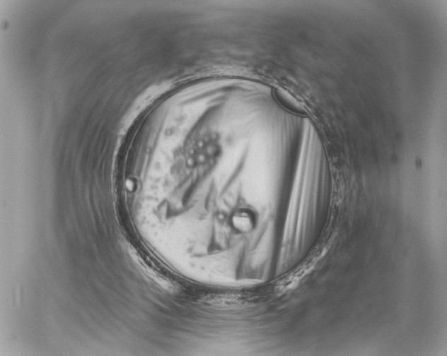 X0000059060104200510281643