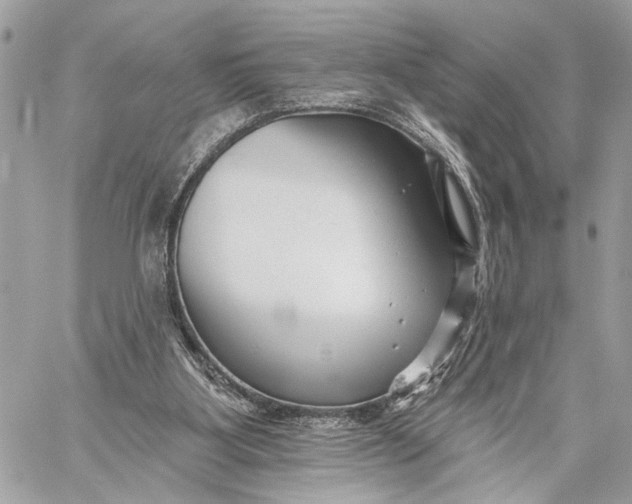 X0000059060107200510281642