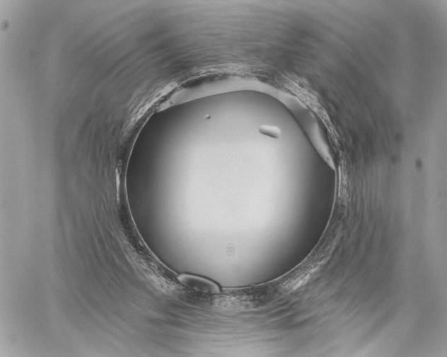 X0000059060109200510281642