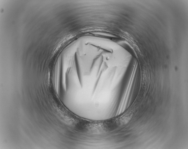 X0000059060110200510281642