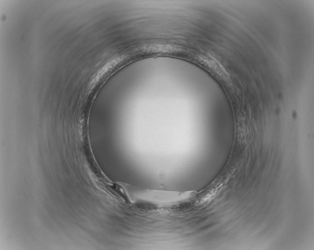 X0000059060111200510281642