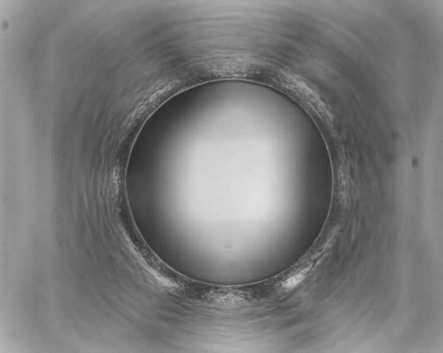 X0000059060113200510281642