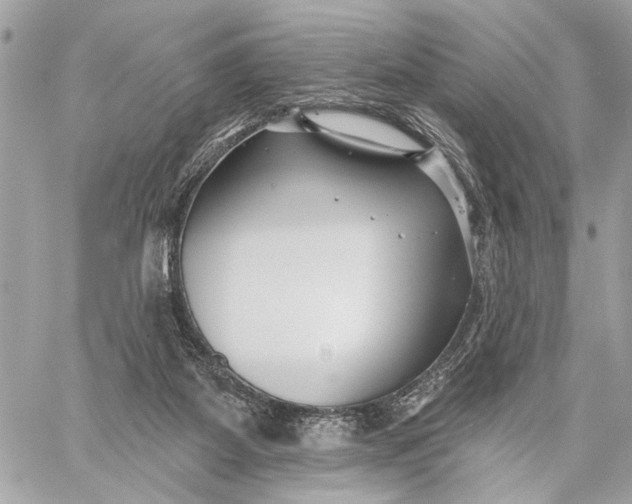 X0000059060115200510281642