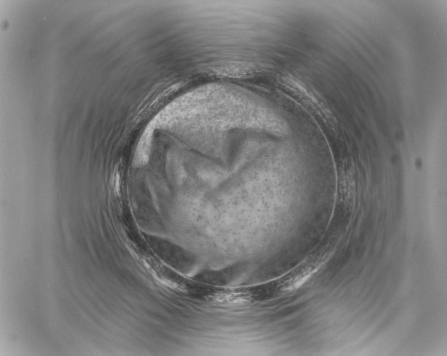 X0000059060117200510281642