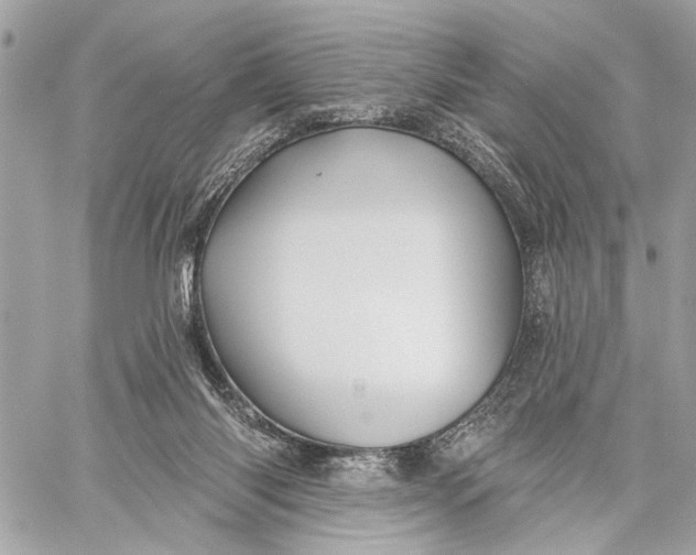 X0000059060118200510281642