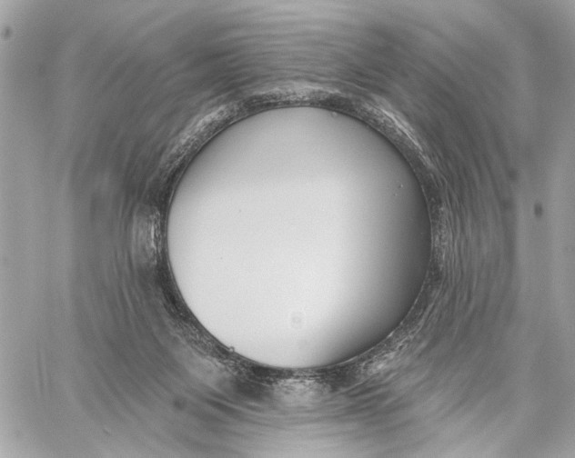 X0000059060119200510281642