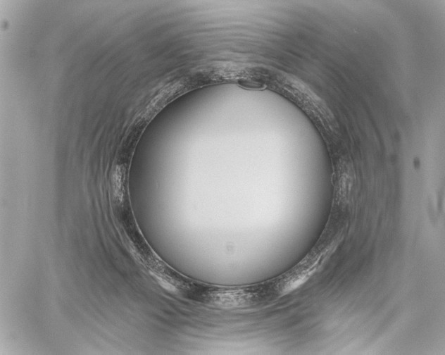 X0000059060121200510281642