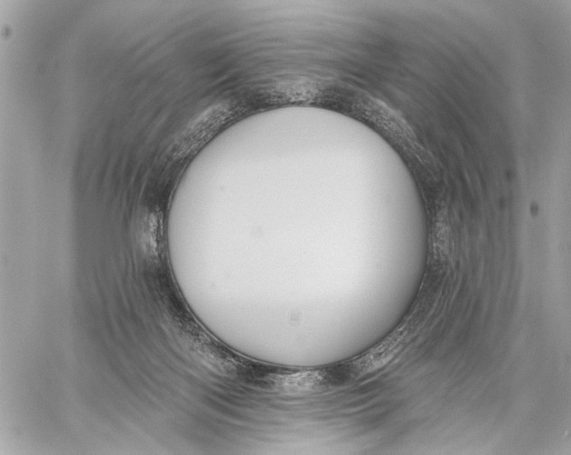 X0000059060122200510281642