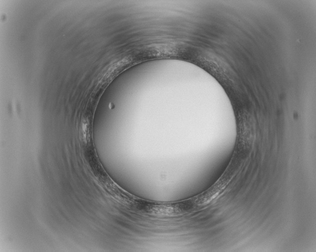 X0000059060123200510281642