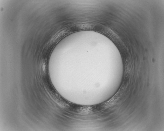 X0000059060124200510281642