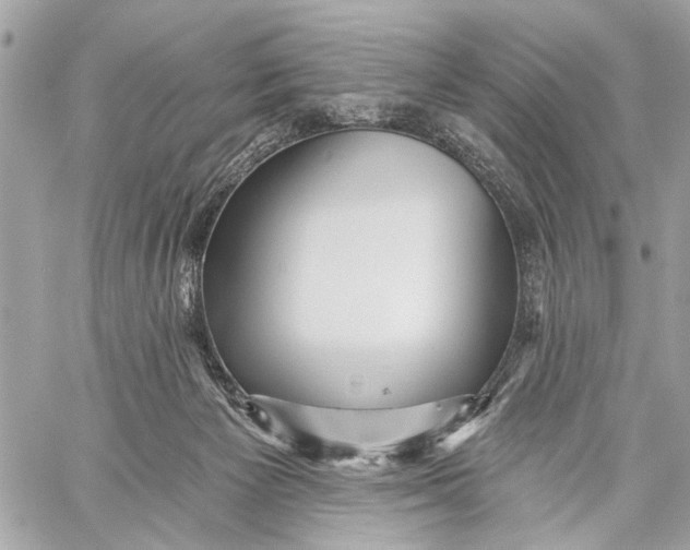 X0000059060125200510281642