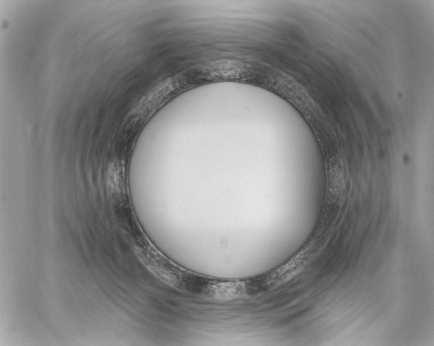 X0000059060126200510281642