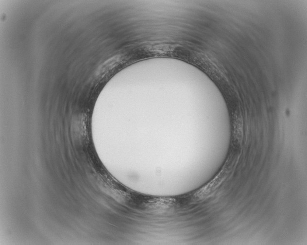 X0000059060128200510281642