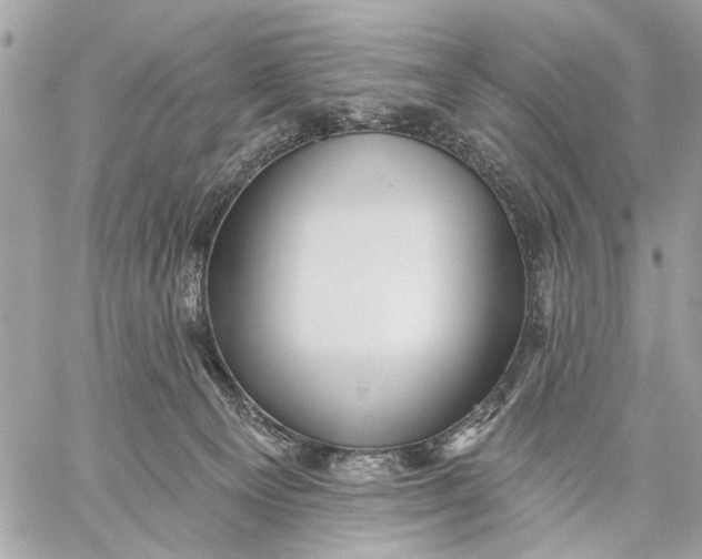 X0000059060129200510281642