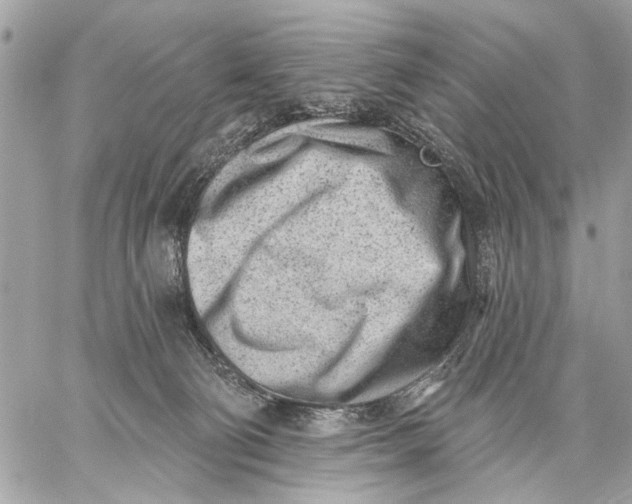 X0000059060130200510281642