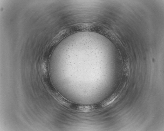 X0000059060131200510281642