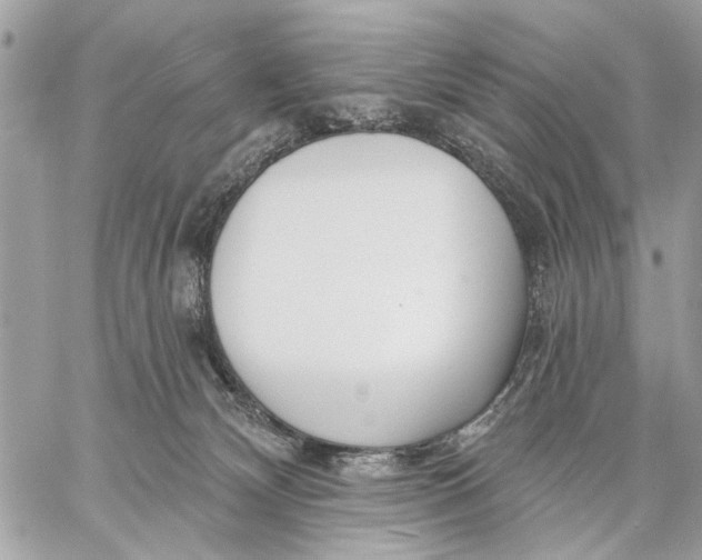 X0000059060132200510281642