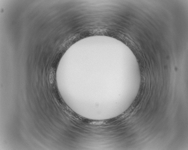 X0000059060133200510281642