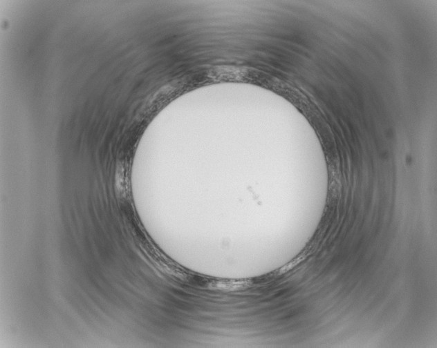 X0000059060134200510281642