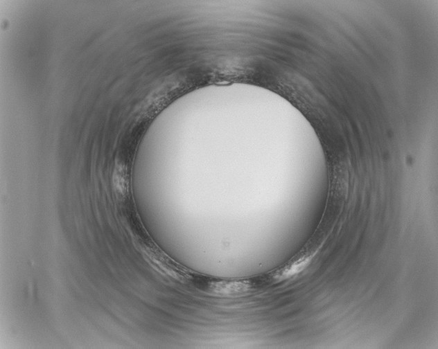 X0000059060135200510281642