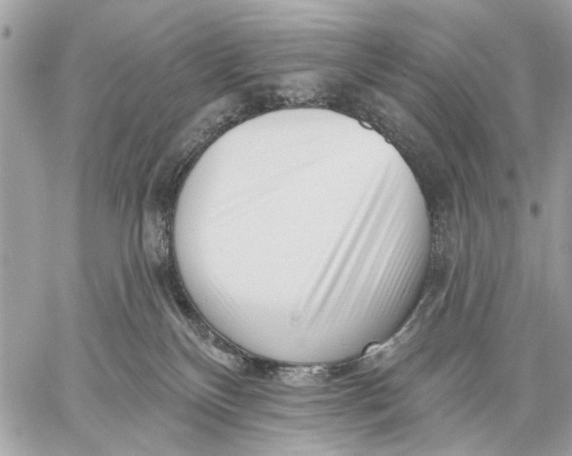 X0000059060136200510281642