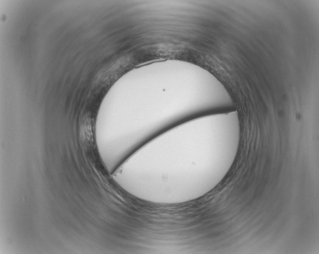 X0000059060137200510281642