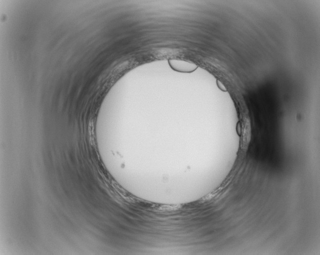 X0000059060138200510281642