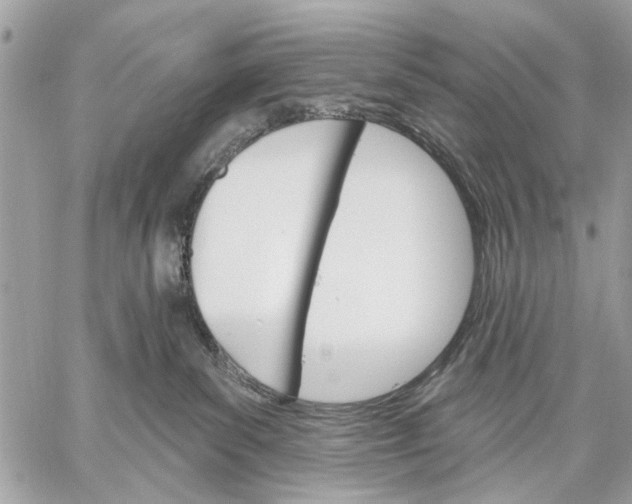 X0000059060139200510281642