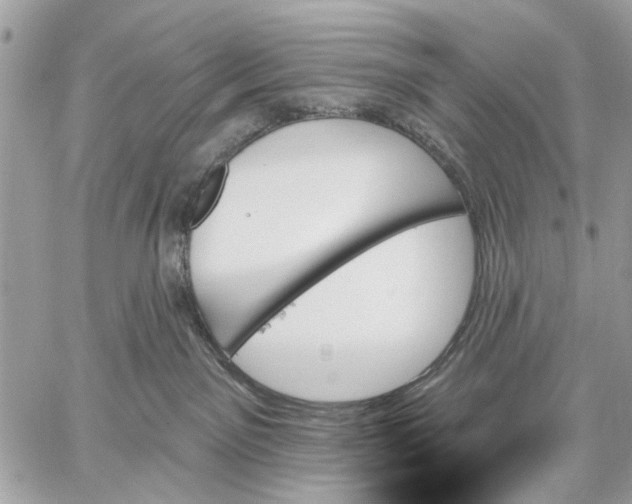 X0000059060141200510281642