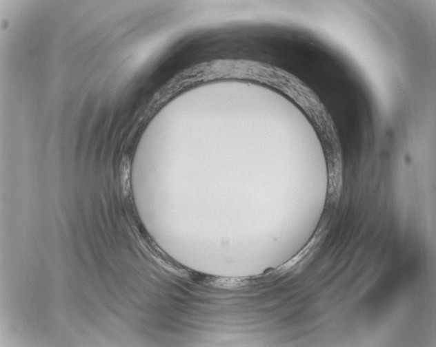 X0000059060142200510281642