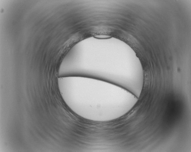 X0000059060143200510281642