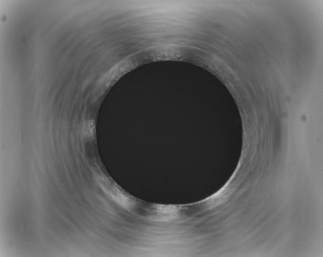 X0000059060144200510281642