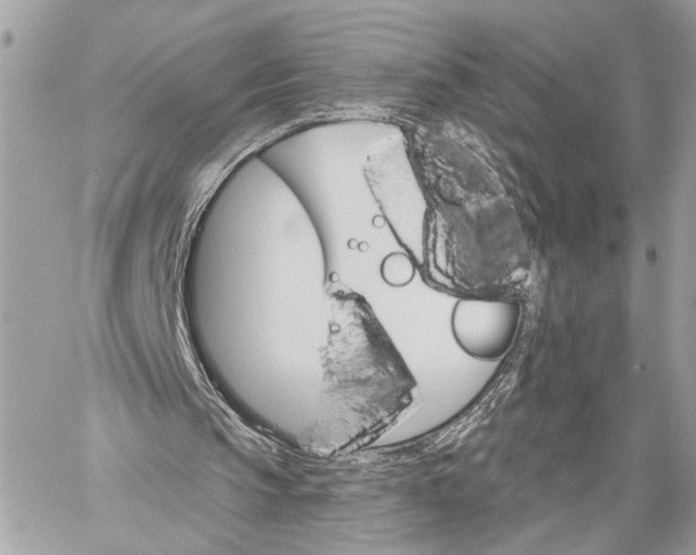 X0000059060145200510281641