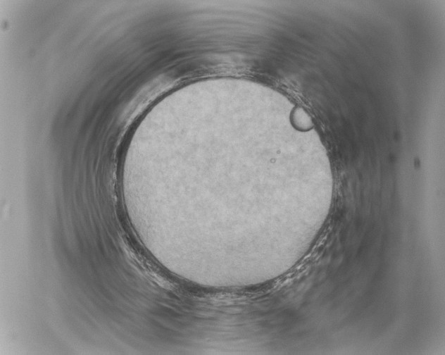 X0000059060146200510281641