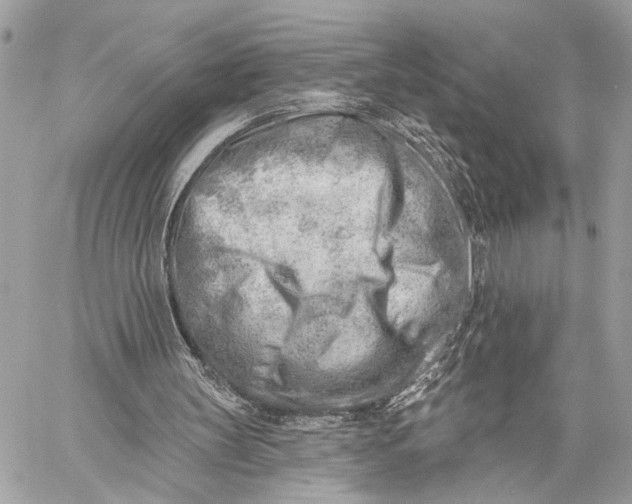 X0000059060147200510281641