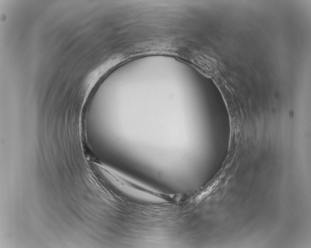 X0000059060148200510281641