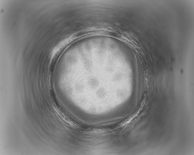 X0000059060149200510281641