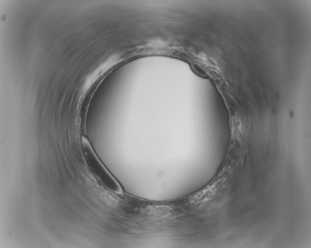 X0000059060150200510281641