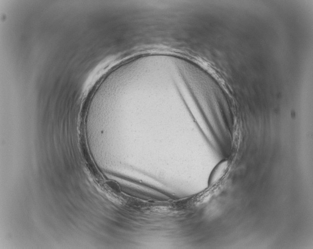 X0000059060151200510281641