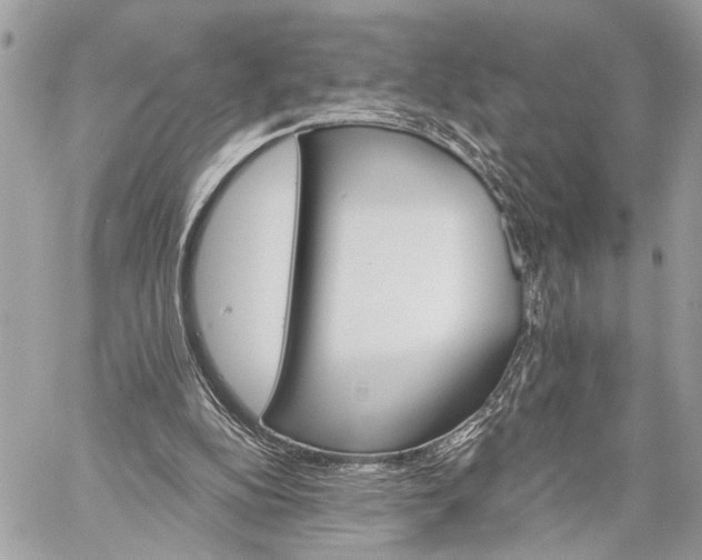 X0000059060152200510281641