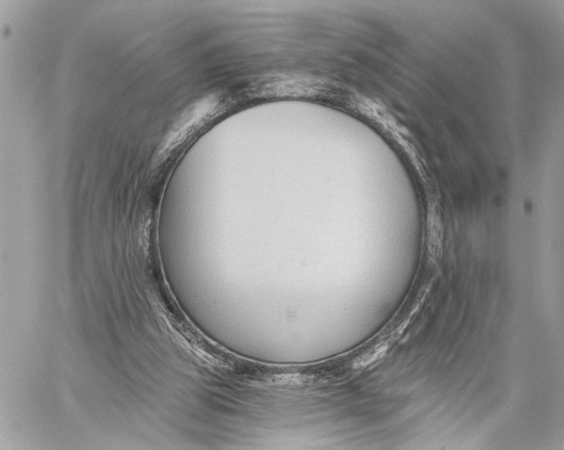 X0000059060153200510281641