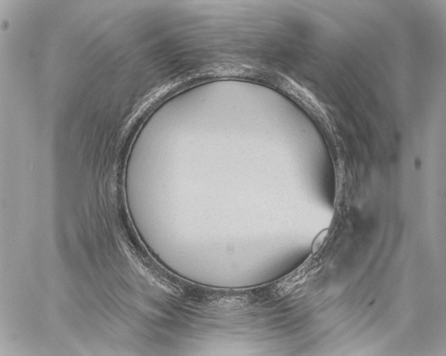 X0000059060155200510281641