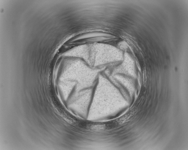 X0000059060156200510281641