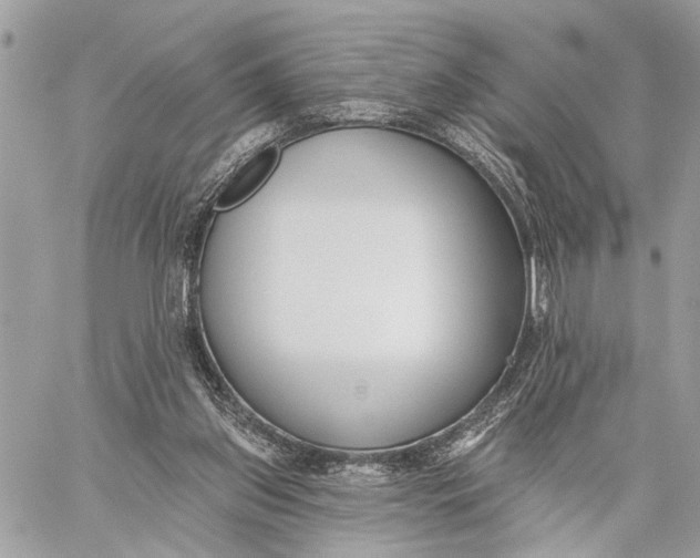 X0000059060157200510281641