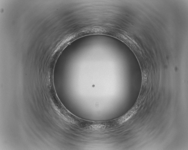 X0000059060158200510281641