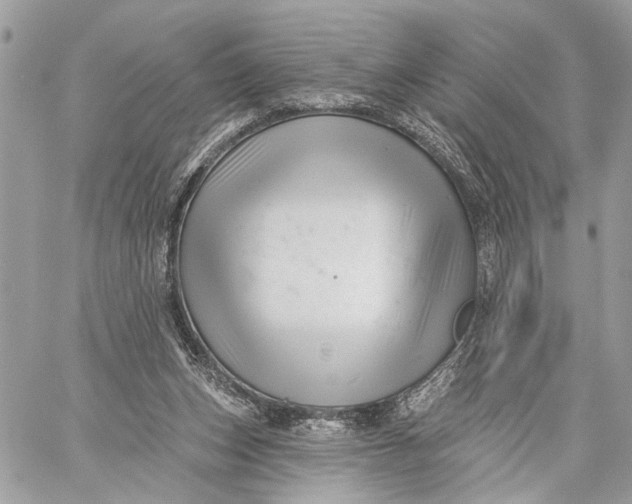 X0000059060159200510281641